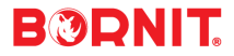 bornit - logo